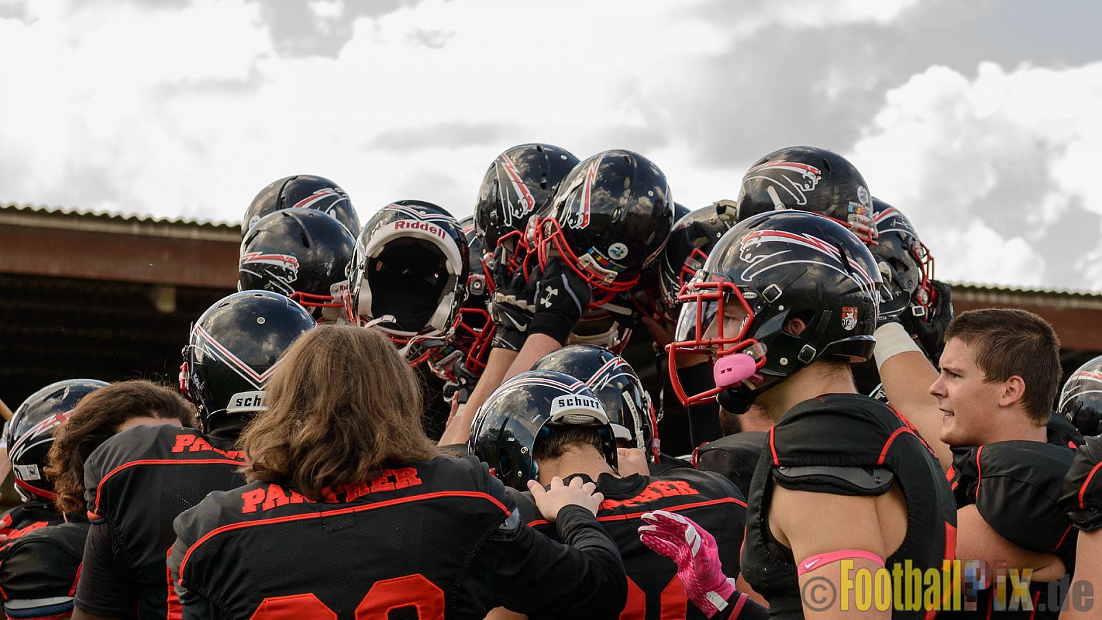 Düsseldorf Panther vs. Dresden Monarchs - 20.08.2016 GFL Nord: Düsseldorf Panther vs. Dresden Monarchs (16:69)