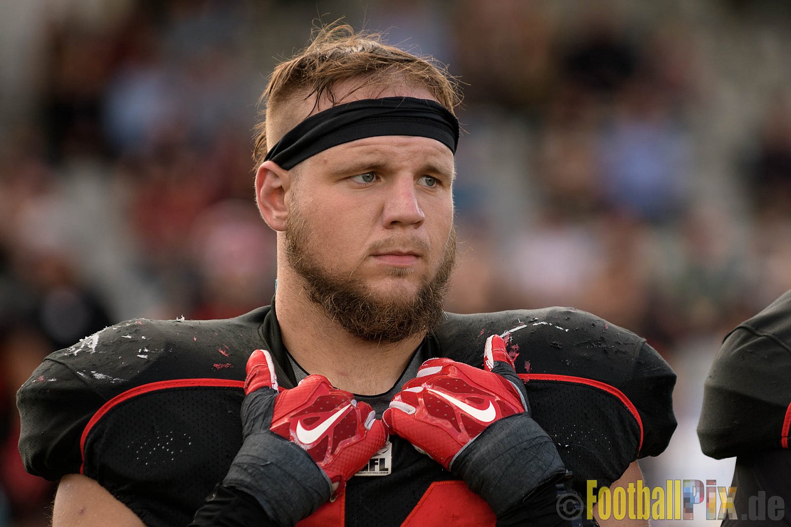 Düsseldorf Panther vs. Dresden Monarchs - 20.08.2016 GFL Nord: Düsseldorf Panther vs. Dresden Monarchs (16:69)