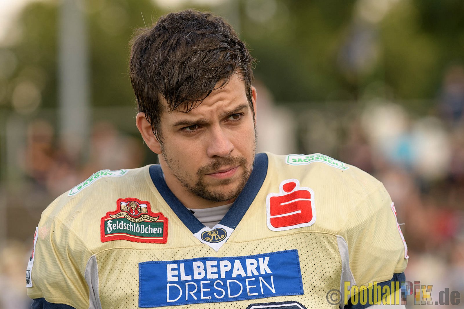 Düsseldorf Panther vs. Dresden Monarchs - 20.08.2016 GFL Nord: Düsseldorf Panther vs. Dresden Monarchs (16:69)