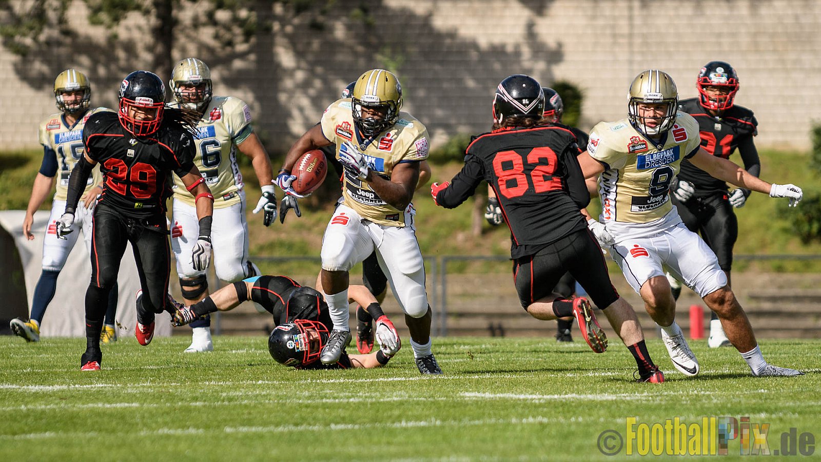 Düsseldorf Panther vs. Dresden Monarchs - 20.08.2016 GFL Nord: Düsseldorf Panther vs. Dresden Monarchs (16:69)
