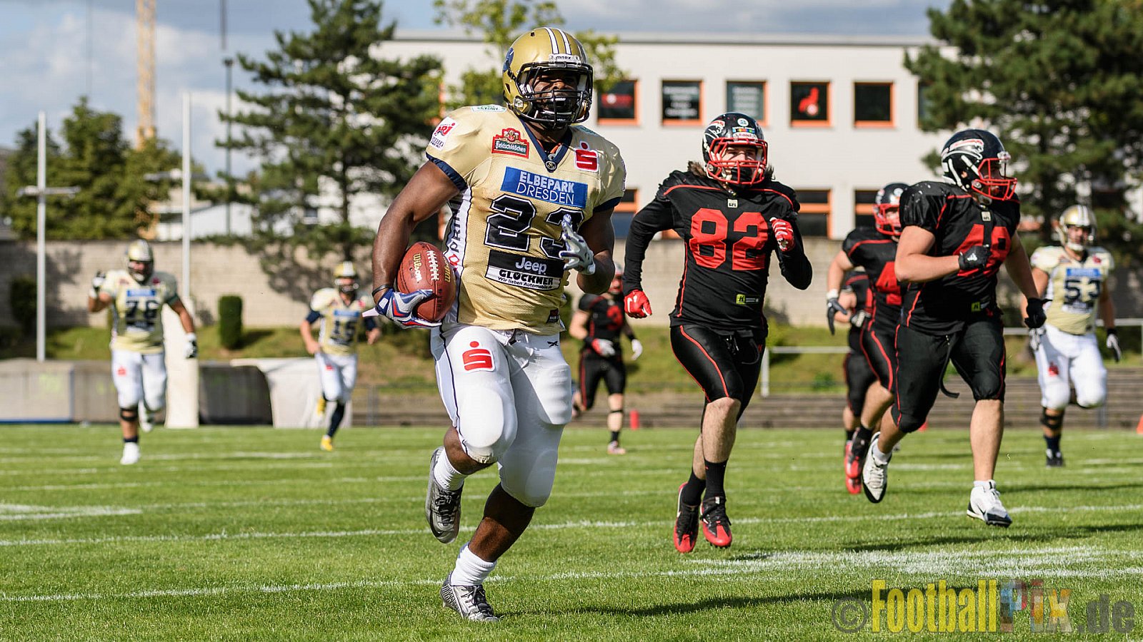 Düsseldorf Panther vs. Dresden Monarchs - 20.08.2016 GFL Nord: Düsseldorf Panther vs. Dresden Monarchs (16:69)