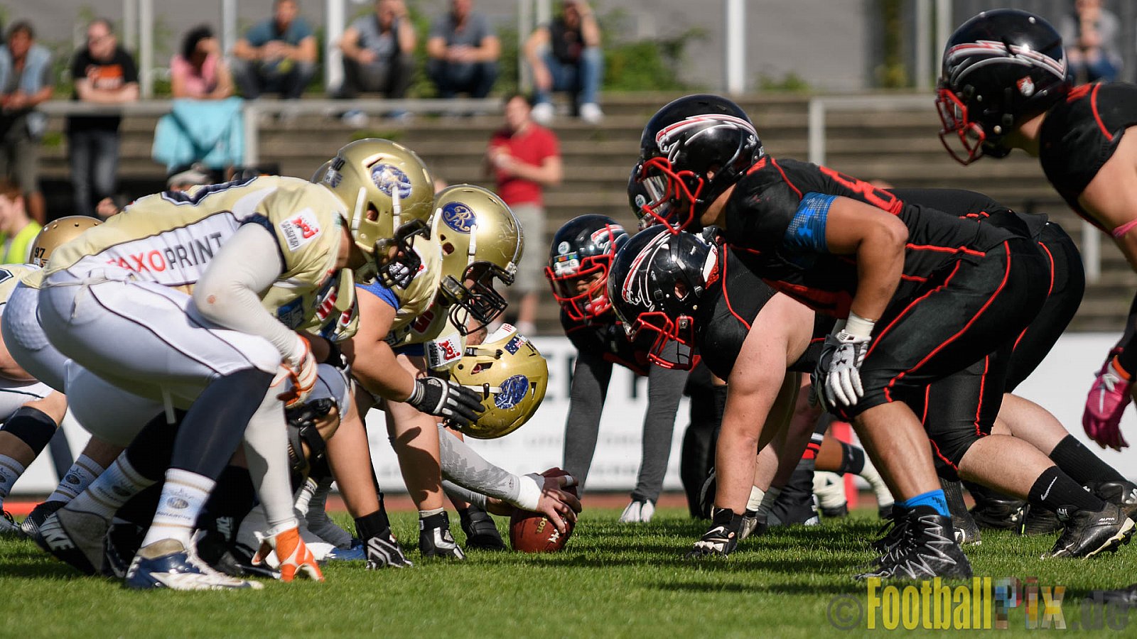 Düsseldorf Panther vs. Dresden Monarchs - 20.08.2016 GFL Nord: Düsseldorf Panther vs. Dresden Monarchs (16:69)