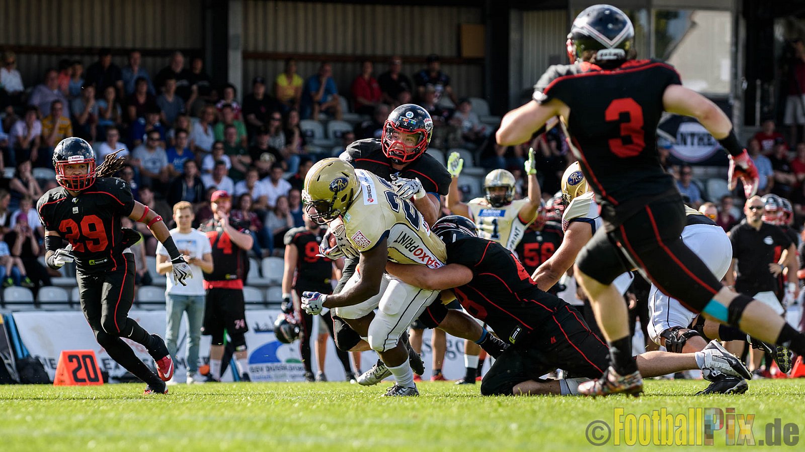Düsseldorf Panther vs. Dresden Monarchs - 20.08.2016 GFL Nord: Düsseldorf Panther vs. Dresden Monarchs (16:69)