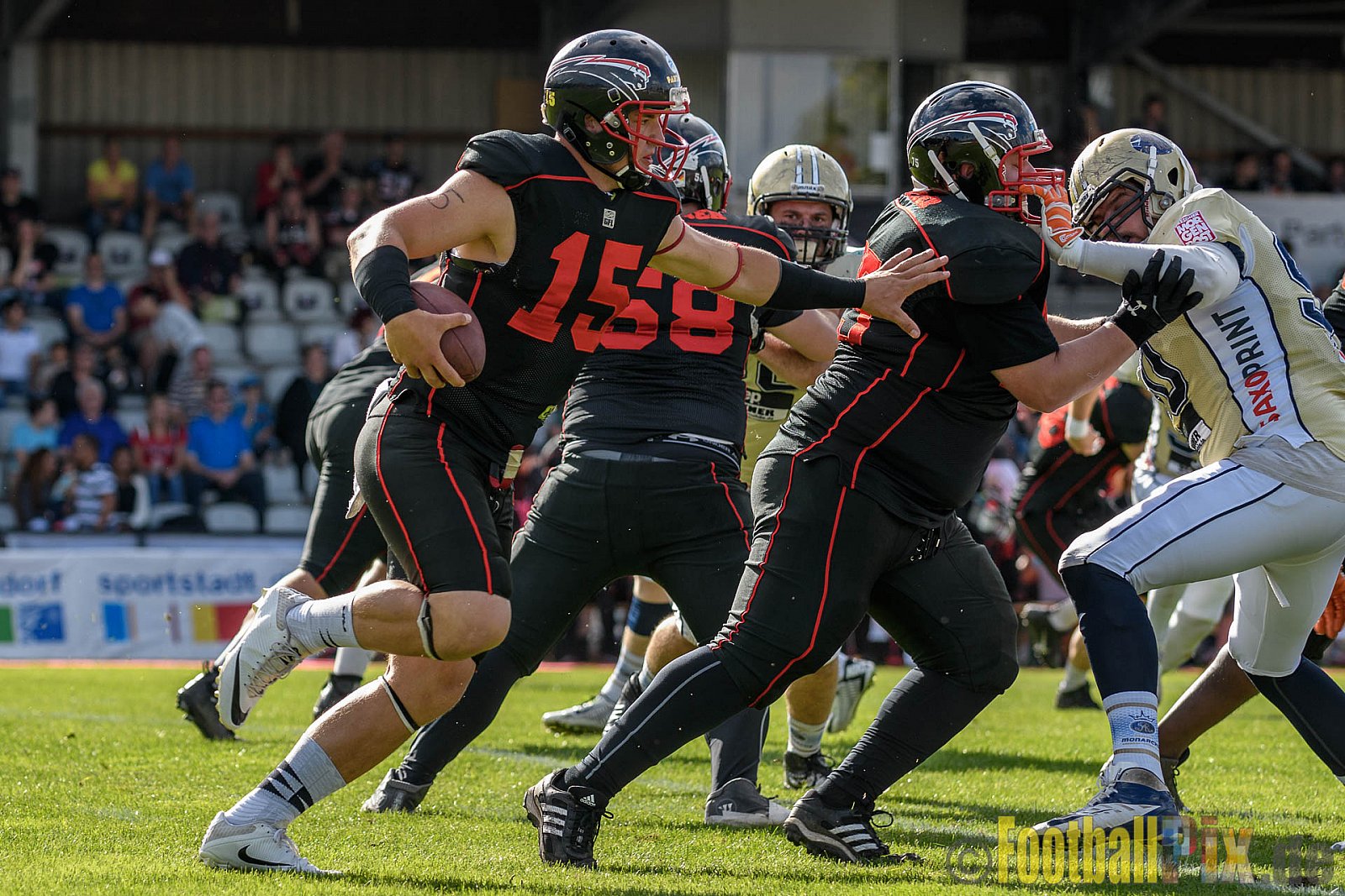 Düsseldorf Panther vs. Dresden Monarchs - 20.08.2016 GFL Nord: Düsseldorf Panther vs. Dresden Monarchs (16:69)