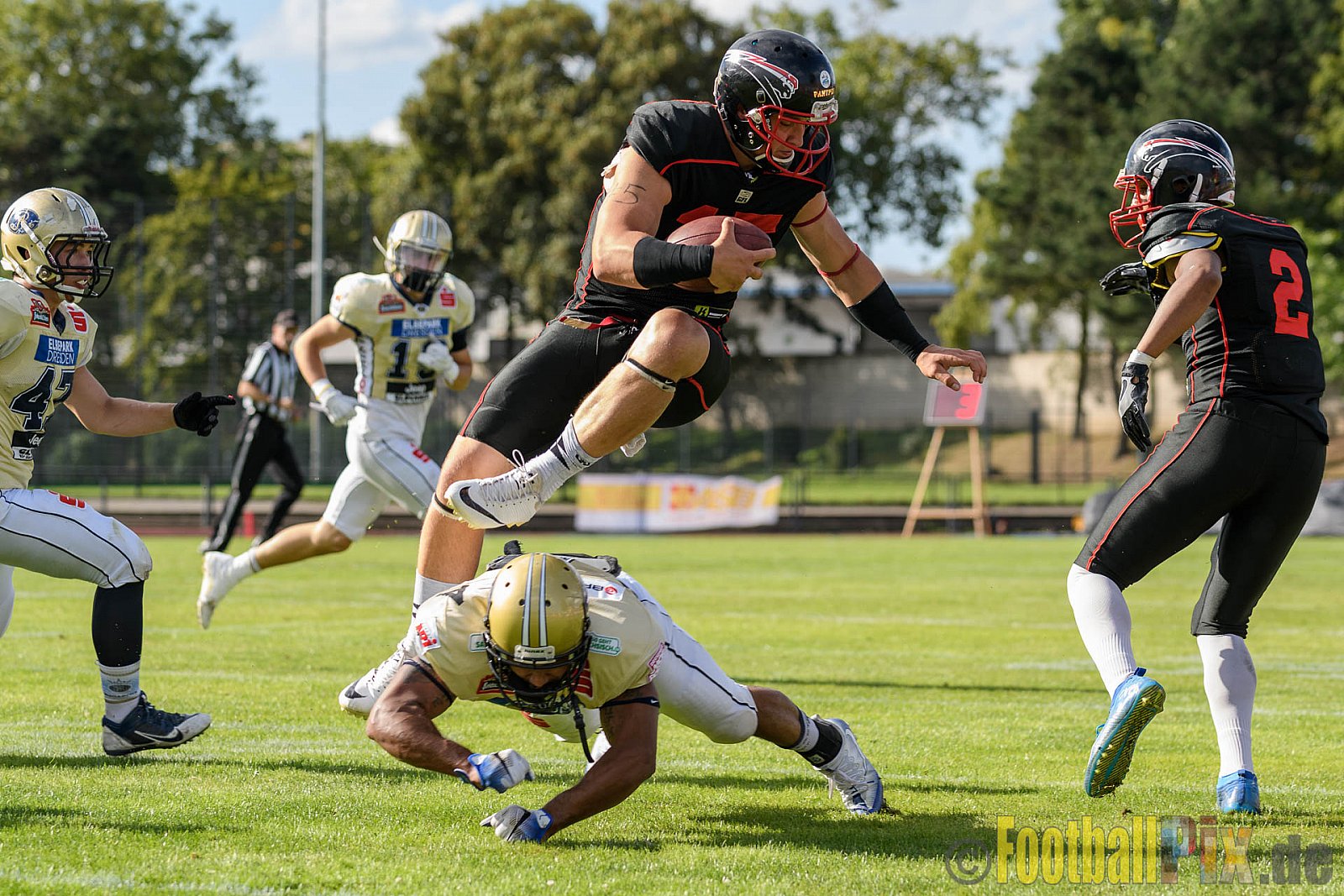 Düsseldorf Panther vs. Dresden Monarchs - 20.08.2016 GFL Nord: Düsseldorf Panther vs. Dresden Monarchs (16:69)