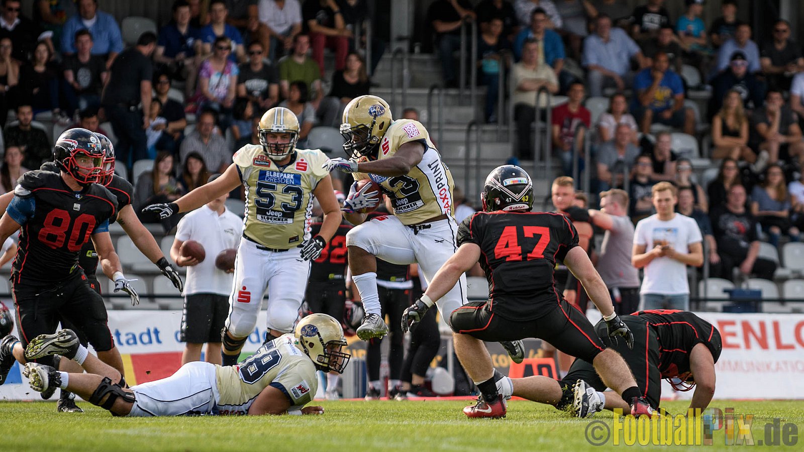 Düsseldorf Panther vs. Dresden Monarchs - 20.08.2016 GFL Nord: Düsseldorf Panther vs. Dresden Monarchs (16:69)