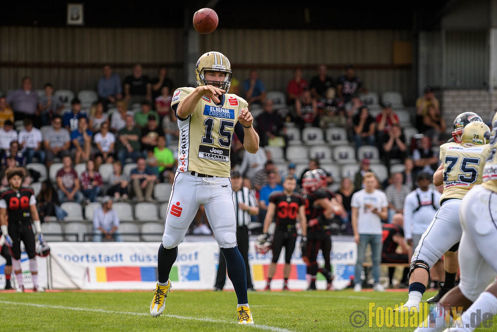 Düsseldorf Panther vs. Dresden Monarchs - 20.08.2016 GFL Nord: Düsseldorf Panther vs. Dresden Monarchs (16:69)