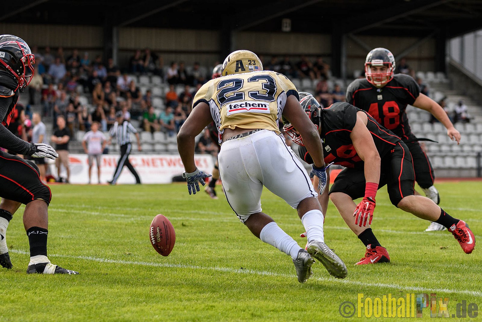 Düsseldorf Panther vs. Dresden Monarchs - 20.08.2016 GFL Nord: Düsseldorf Panther vs. Dresden Monarchs (16:69)