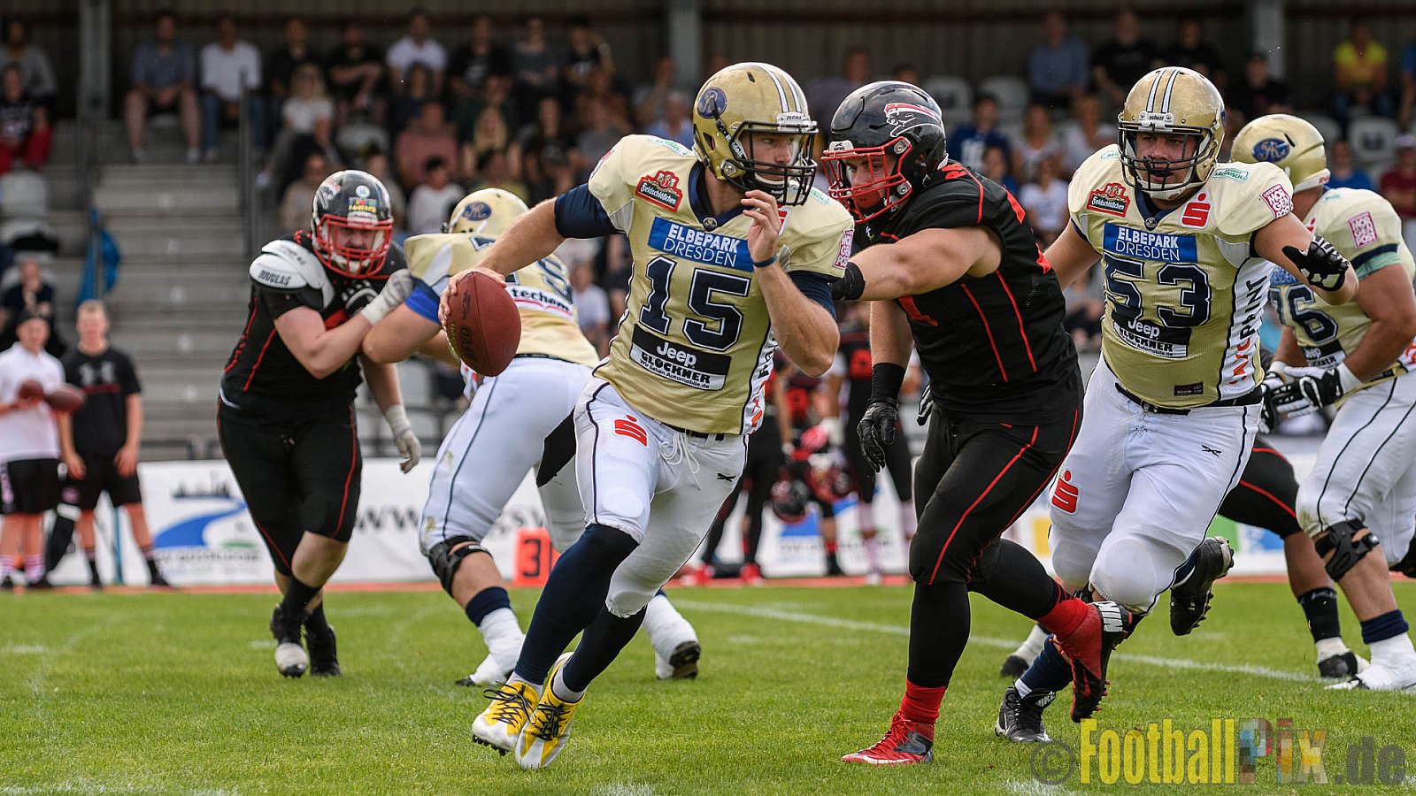Düsseldorf Panther vs. Dresden Monarchs - 20.08.2016 GFL Nord: Düsseldorf Panther vs. Dresden Monarchs (16:69)