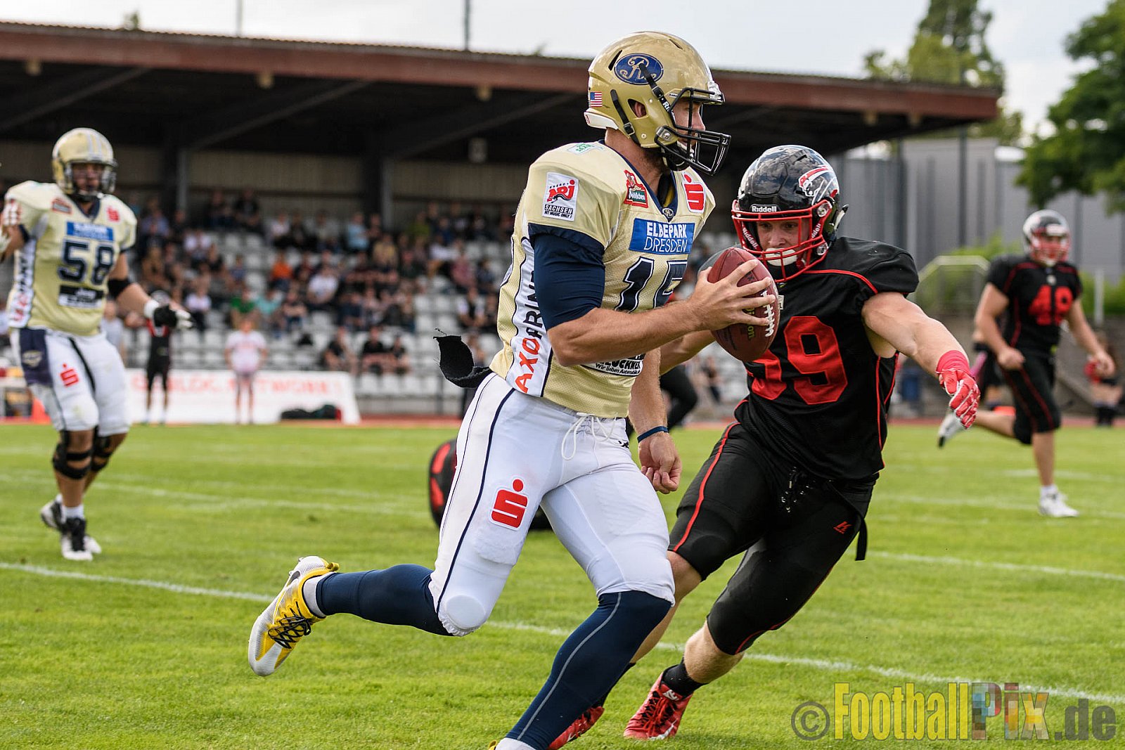 Düsseldorf Panther vs. Dresden Monarchs - 20.08.2016 GFL Nord: Düsseldorf Panther vs. Dresden Monarchs (16:69)