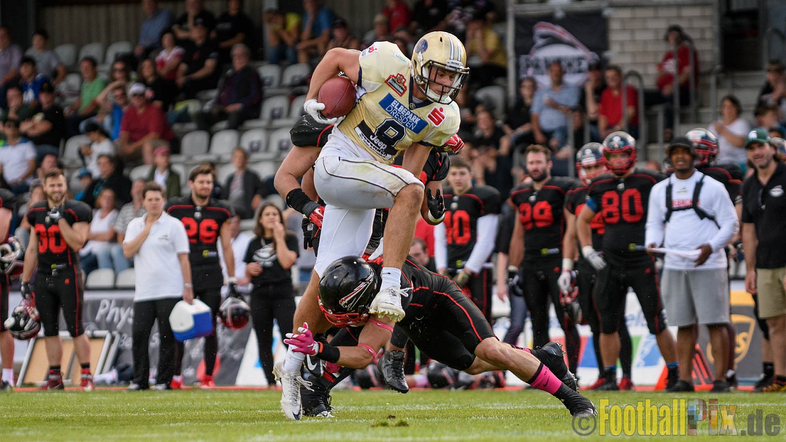 Düsseldorf Panther vs. Dresden Monarchs - 20.08.2016 GFL Nord: Düsseldorf Panther vs. Dresden Monarchs (16:69)