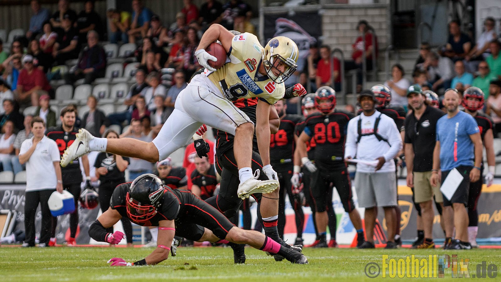 Düsseldorf Panther vs. Dresden Monarchs - 20.08.2016 GFL Nord: Düsseldorf Panther vs. Dresden Monarchs (16:69)