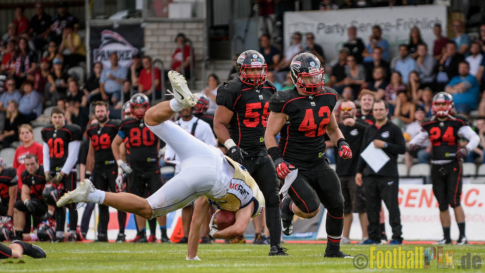 Düsseldorf Panther vs. Dresden Monarchs - 20.08.2016 GFL Nord: Düsseldorf Panther vs. Dresden Monarchs (16:69)