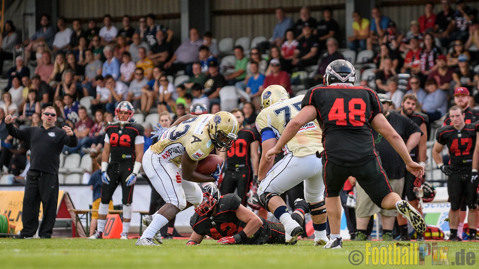 Düsseldorf Panther vs. Dresden Monarchs - 20.08.2016 GFL Nord: Düsseldorf Panther vs. Dresden Monarchs (16:69)