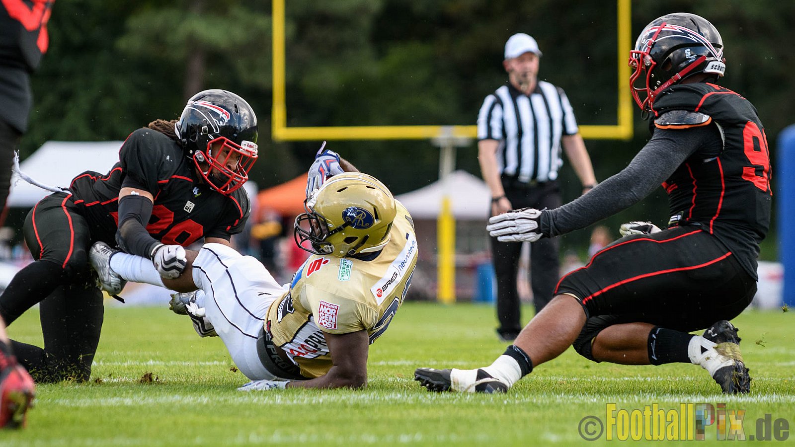 Düsseldorf Panther vs. Dresden Monarchs - 20.08.2016 GFL Nord: Düsseldorf Panther vs. Dresden Monarchs (16:69)