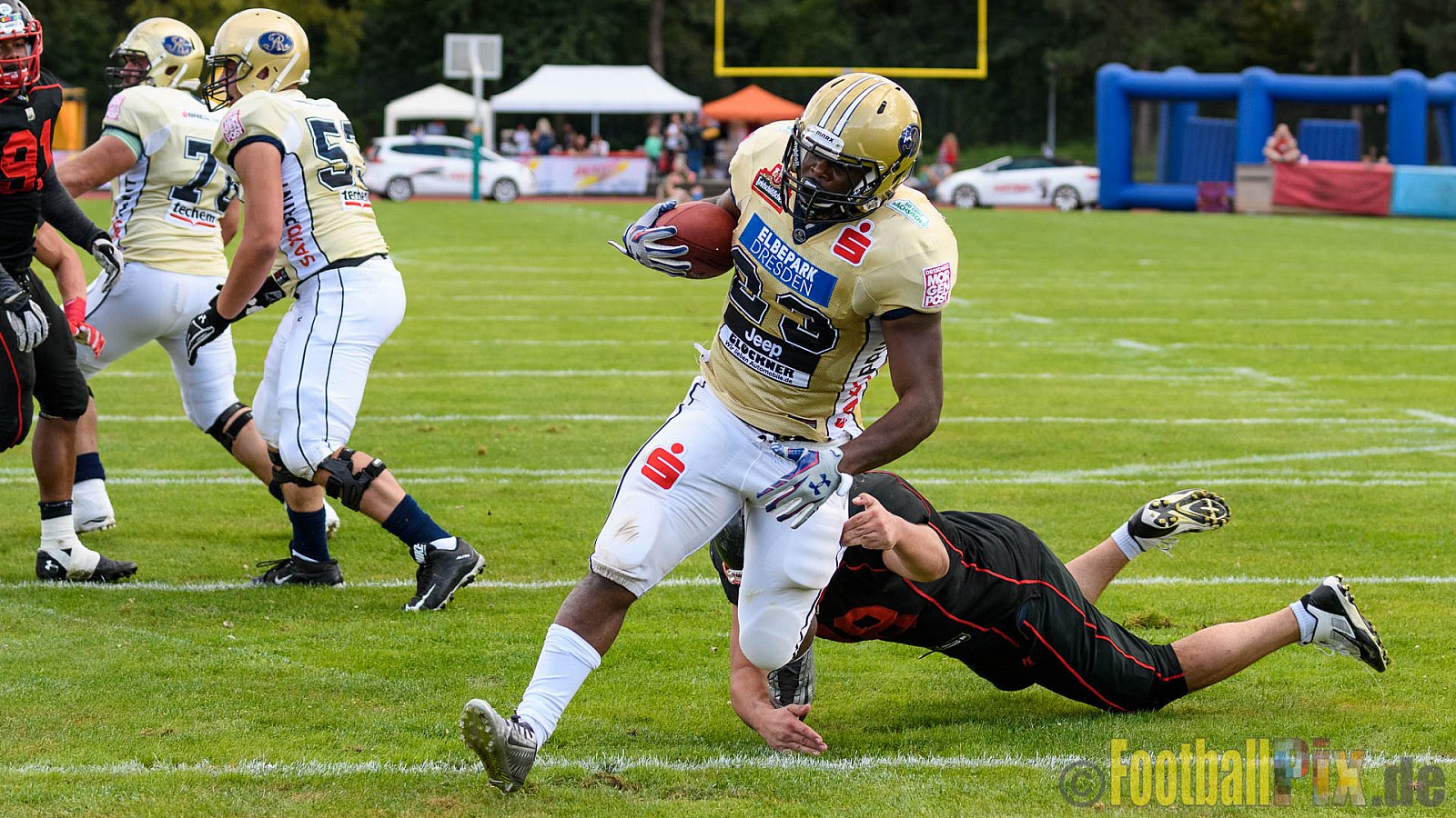 Düsseldorf Panther vs. Dresden Monarchs - 20.08.2016 GFL Nord: Düsseldorf Panther vs. Dresden Monarchs (16:69)
