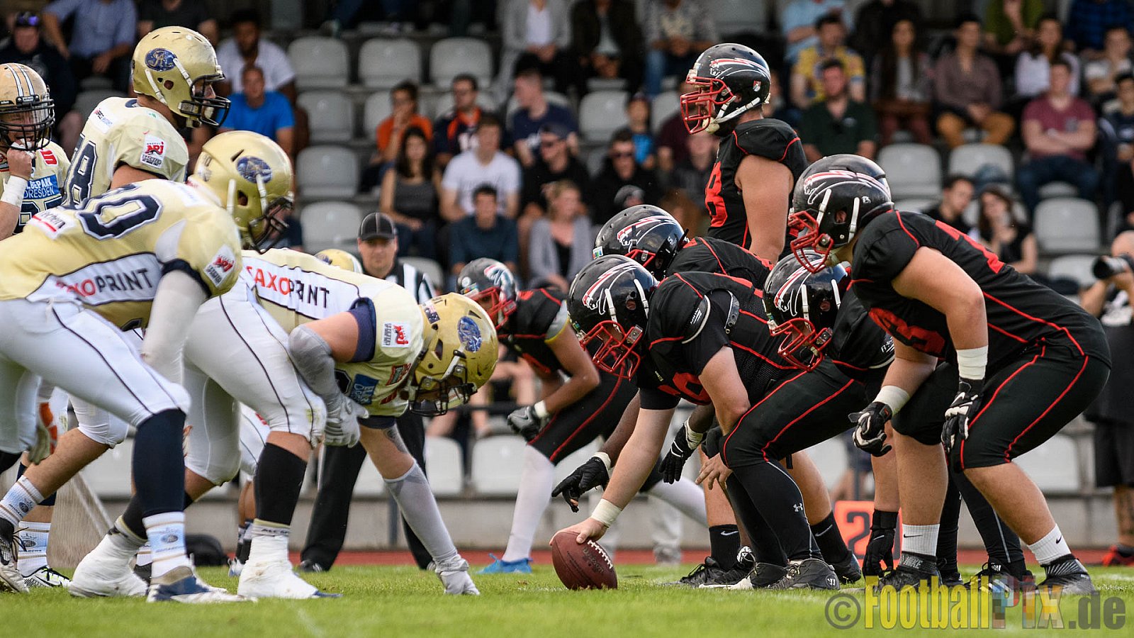 Düsseldorf Panther vs. Dresden Monarchs - 20.08.2016 GFL Nord: Düsseldorf Panther vs. Dresden Monarchs (16:69)