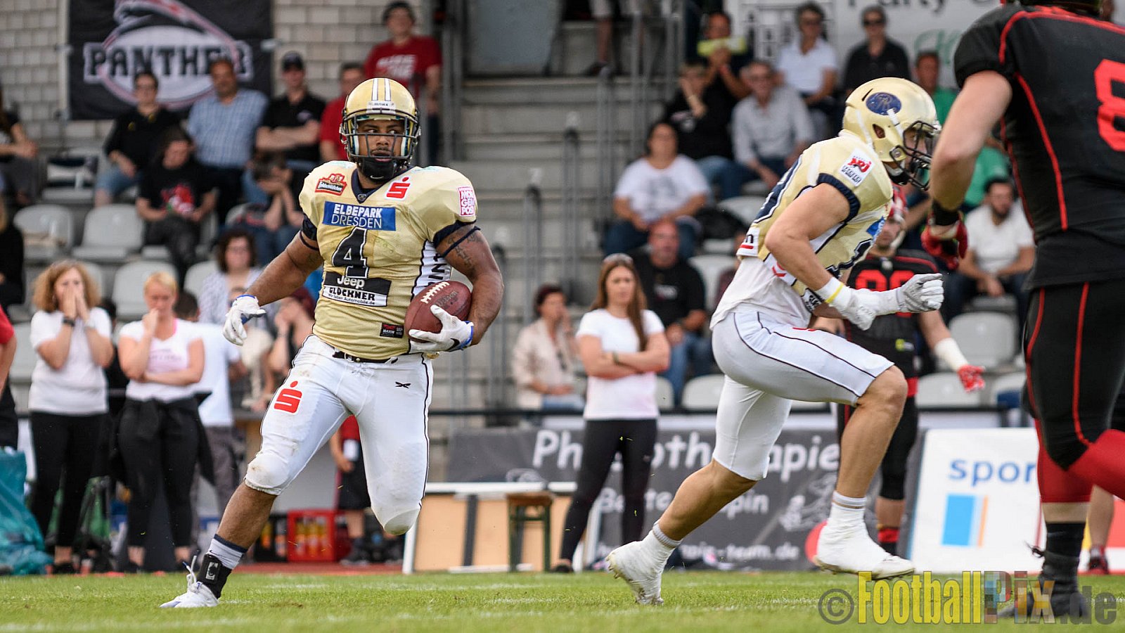 Düsseldorf Panther vs. Dresden Monarchs - 20.08.2016 GFL Nord: Düsseldorf Panther vs. Dresden Monarchs (16:69)