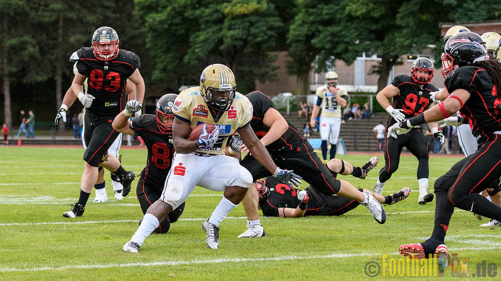 Düsseldorf Panther vs. Dresden Monarchs - 20.08.2016 GFL Nord: Düsseldorf Panther vs. Dresden Monarchs (16:69)