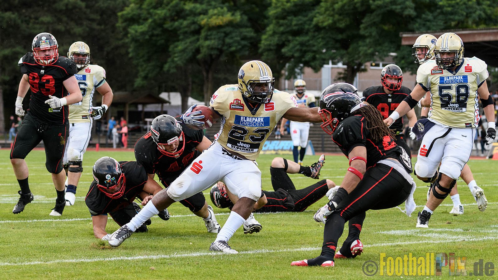 Düsseldorf Panther vs. Dresden Monarchs - 20.08.2016 GFL Nord: Düsseldorf Panther vs. Dresden Monarchs (16:69)