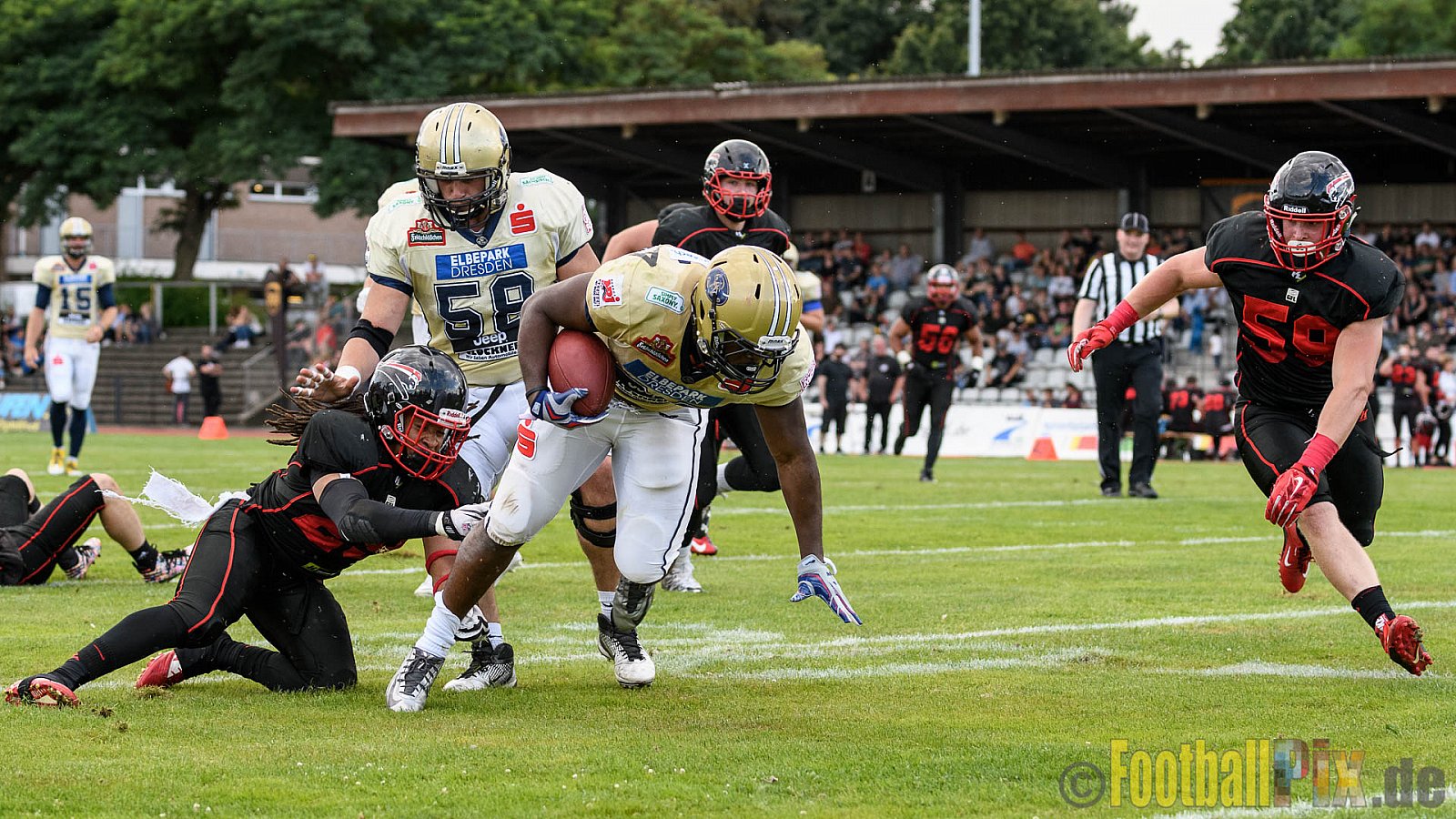 Düsseldorf Panther vs. Dresden Monarchs - 20.08.2016 GFL Nord: Düsseldorf Panther vs. Dresden Monarchs (16:69)