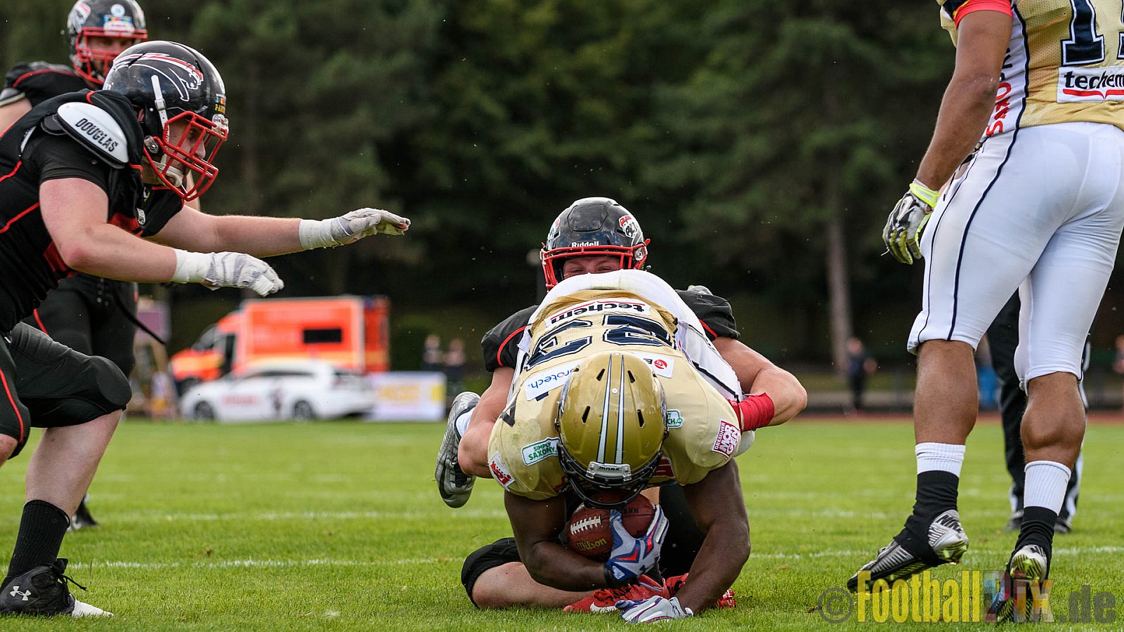 Düsseldorf Panther vs. Dresden Monarchs - 20.08.2016 GFL Nord: Düsseldorf Panther vs. Dresden Monarchs (16:69)