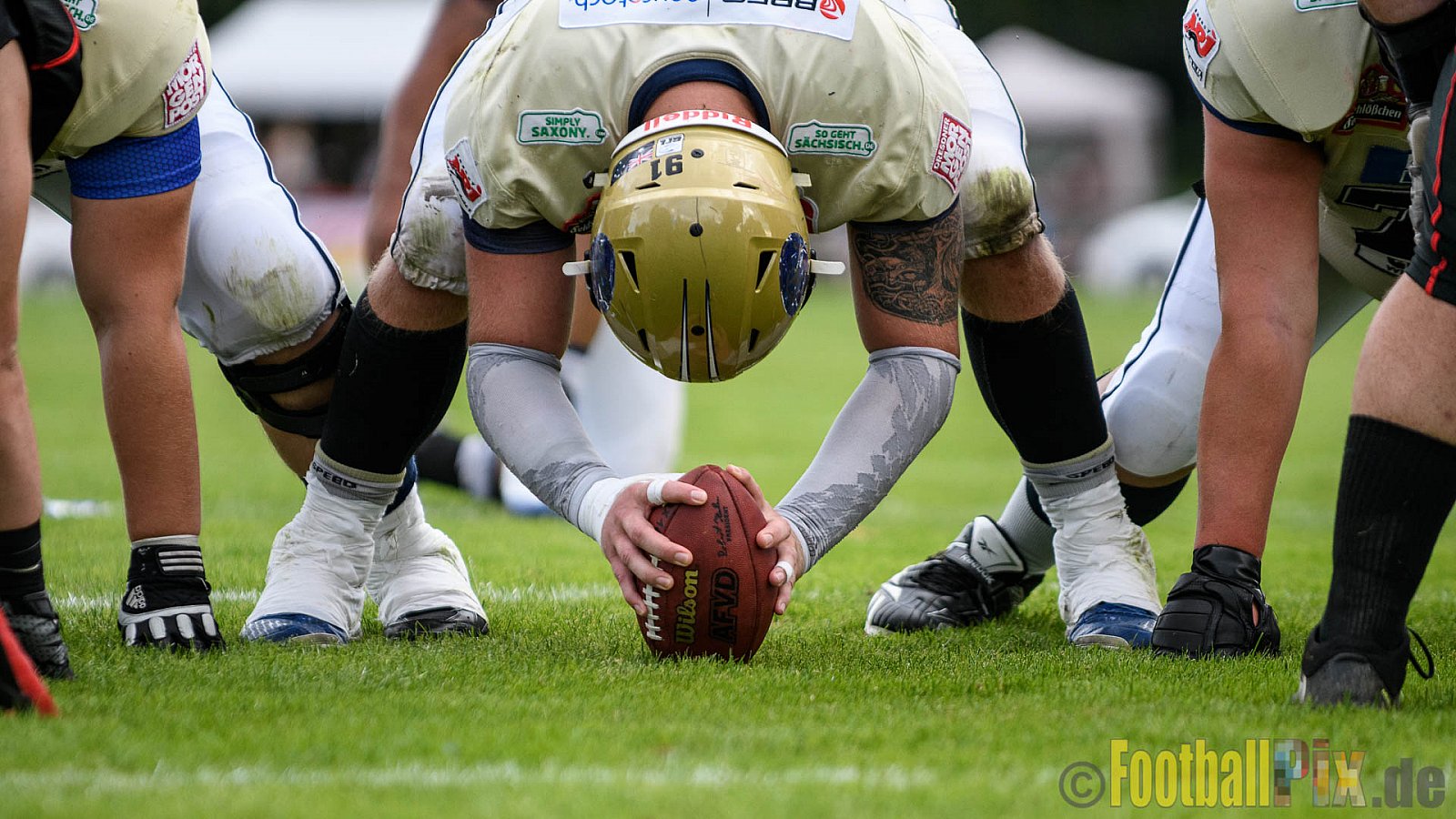 Düsseldorf Panther vs. Dresden Monarchs - 20.08.2016 GFL Nord: Düsseldorf Panther vs. Dresden Monarchs (16:69)