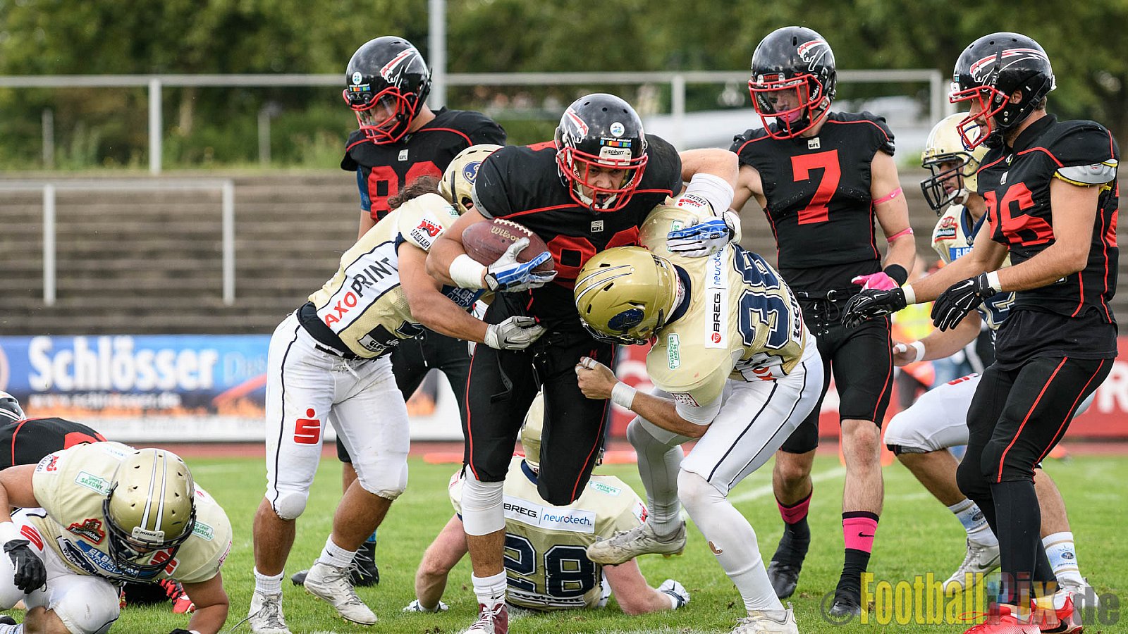 Düsseldorf Panther vs. Dresden Monarchs - 20.08.2016 GFL Nord: Düsseldorf Panther vs. Dresden Monarchs (16:69)