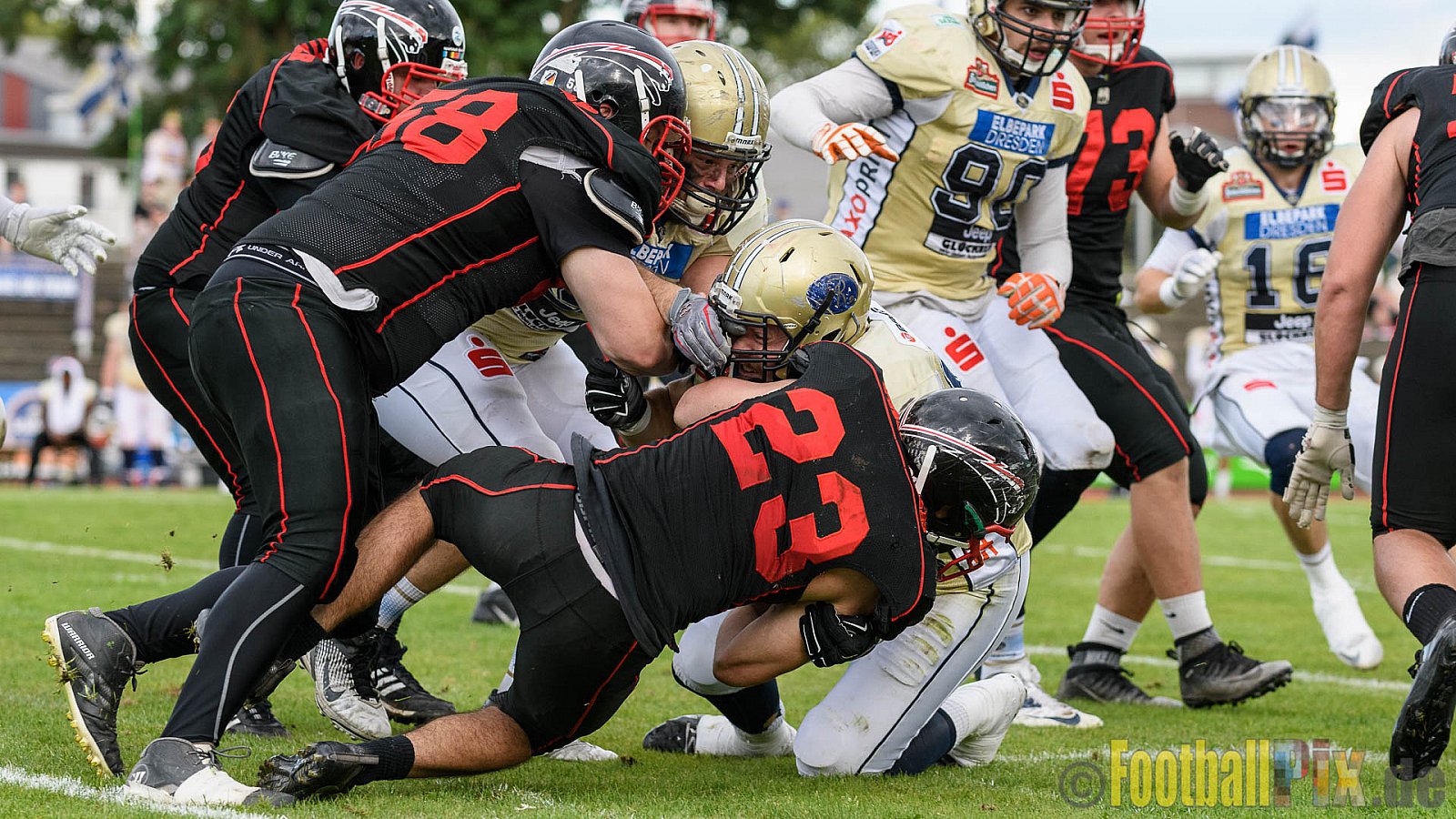 Düsseldorf Panther vs. Dresden Monarchs - 20.08.2016 GFL Nord: Düsseldorf Panther vs. Dresden Monarchs (16:69)