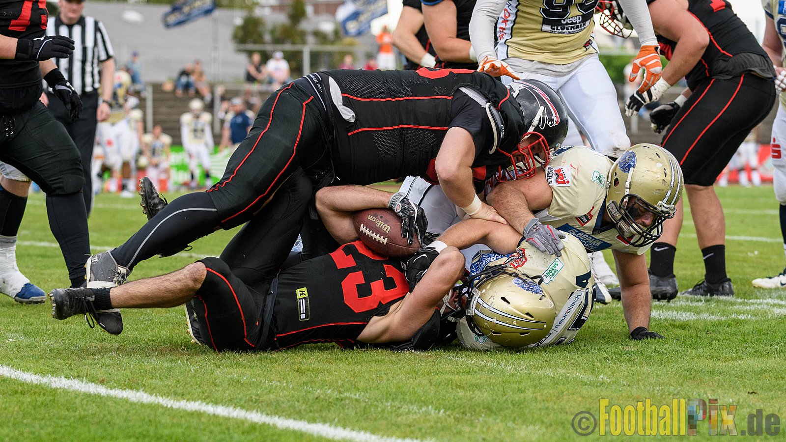 Düsseldorf Panther vs. Dresden Monarchs - 20.08.2016 GFL Nord: Düsseldorf Panther vs. Dresden Monarchs (16:69)