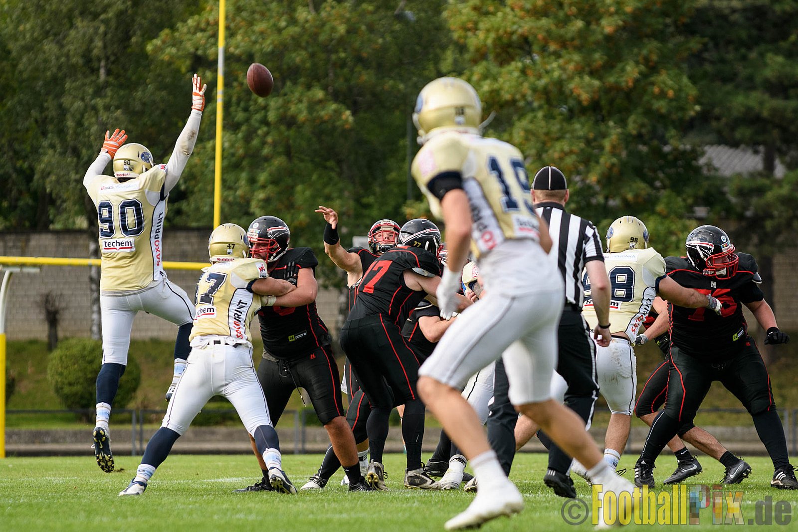 Düsseldorf Panther vs. Dresden Monarchs - 20.08.2016 GFL Nord: Düsseldorf Panther vs. Dresden Monarchs (16:69)