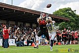D&uuml;sseldorf Panther vs. Dresden Monarchs - 20.08.2016 GFL Nord: D&uuml;sseldorf Panther vs. Dresden Monarchs (16:69)