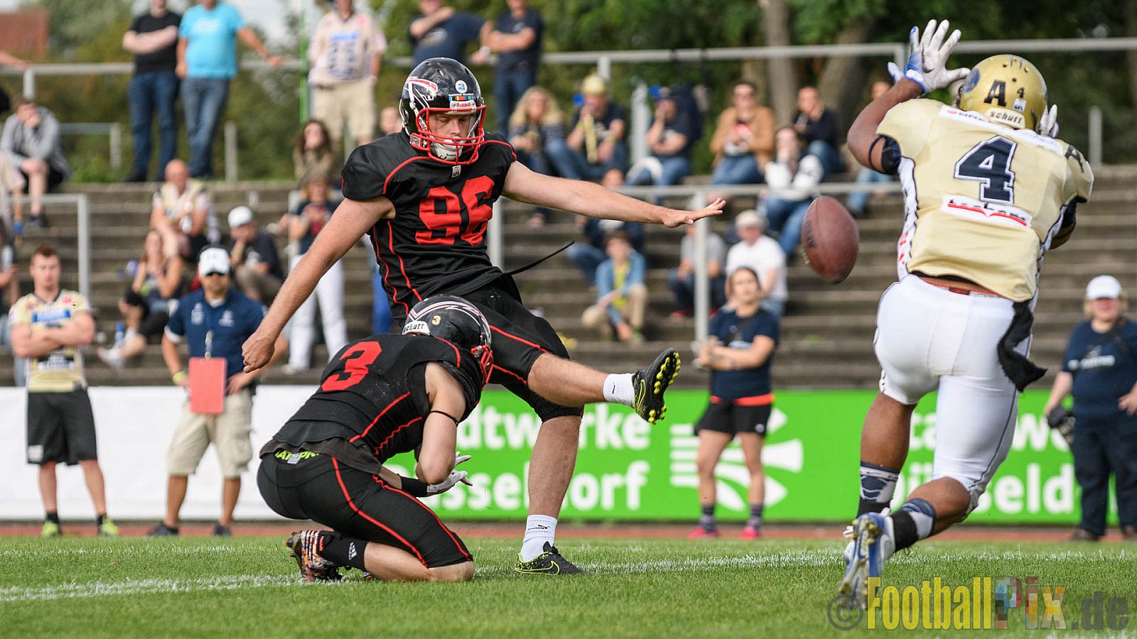 Düsseldorf Panther vs. Dresden Monarchs - 20.08.2016 GFL Nord: Düsseldorf Panther vs. Dresden Monarchs (16:69)