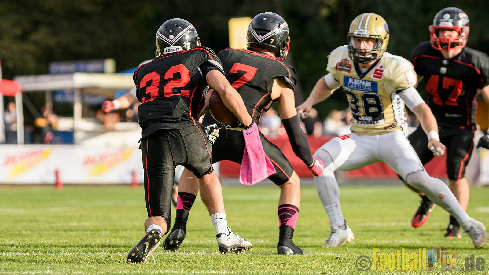 Düsseldorf Panther vs. Dresden Monarchs - 20.08.2016 GFL Nord: Düsseldorf Panther vs. Dresden Monarchs (16:69)