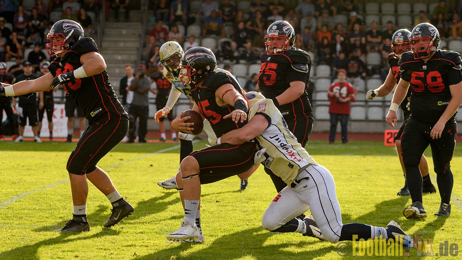 Düsseldorf Panther vs. Dresden Monarchs - 20.08.2016 GFL Nord: Düsseldorf Panther vs. Dresden Monarchs (16:69)