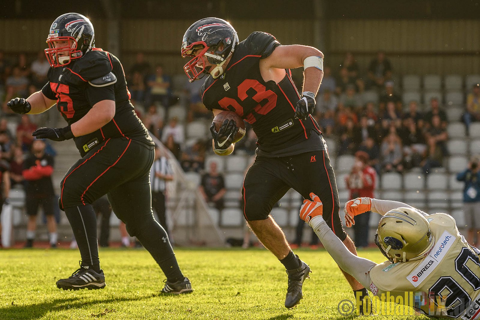Düsseldorf Panther vs. Dresden Monarchs - 20.08.2016 GFL Nord: Düsseldorf Panther vs. Dresden Monarchs (16:69)