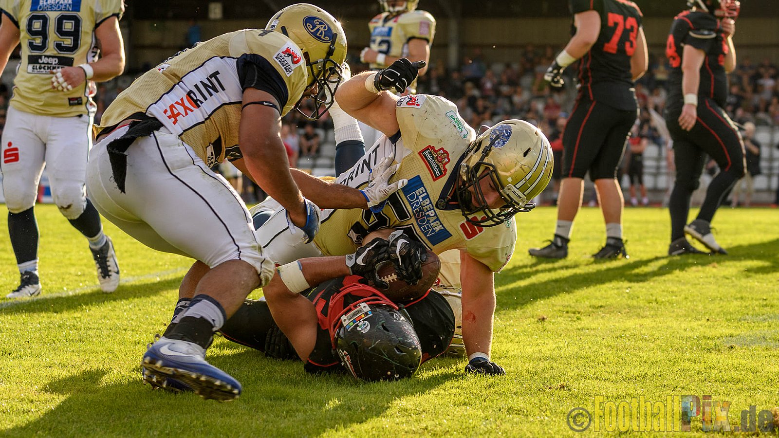 Düsseldorf Panther vs. Dresden Monarchs - 20.08.2016 GFL Nord: Düsseldorf Panther vs. Dresden Monarchs (16:69)