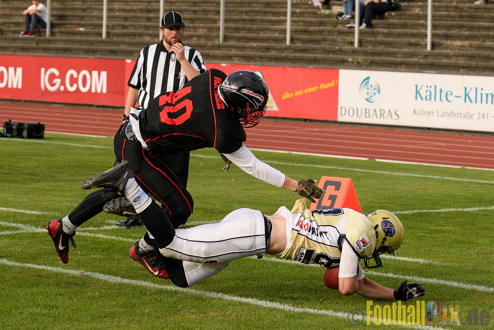 Düsseldorf Panther vs. Dresden Monarchs - 20.08.2016 GFL Nord: Düsseldorf Panther vs. Dresden Monarchs (16:69)