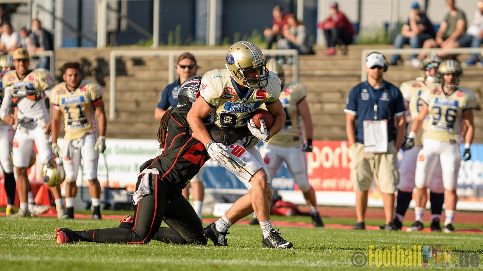 Düsseldorf Panther vs. Dresden Monarchs - 20.08.2016 GFL Nord: Düsseldorf Panther vs. Dresden Monarchs (16:69)