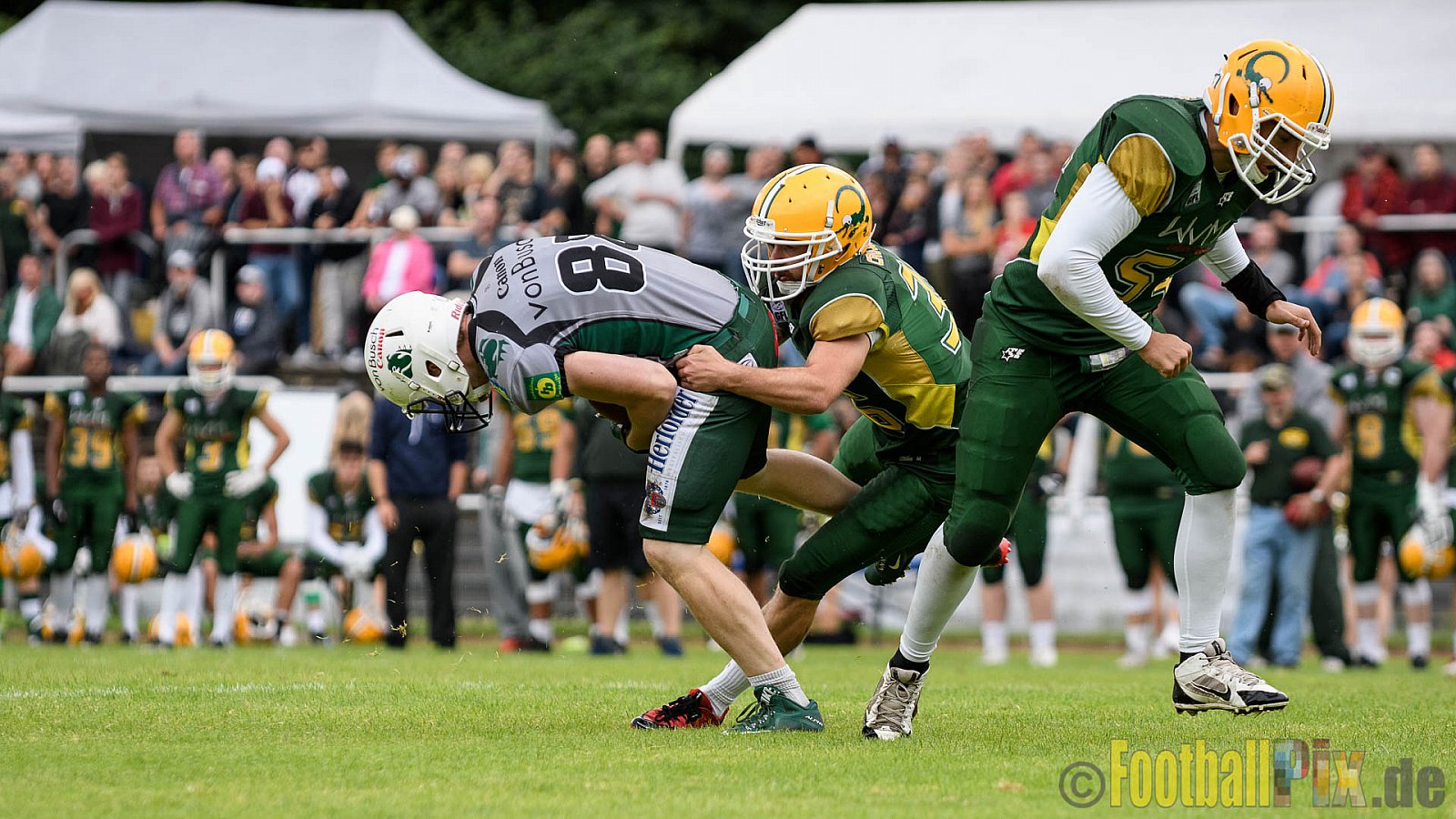 Cologne Crocodiles vs. Bielefeld Bulldogs - 21.08.2016 GFL2: Cologne Crocodiles vs. Bielefeld Bulldogs (63:17)