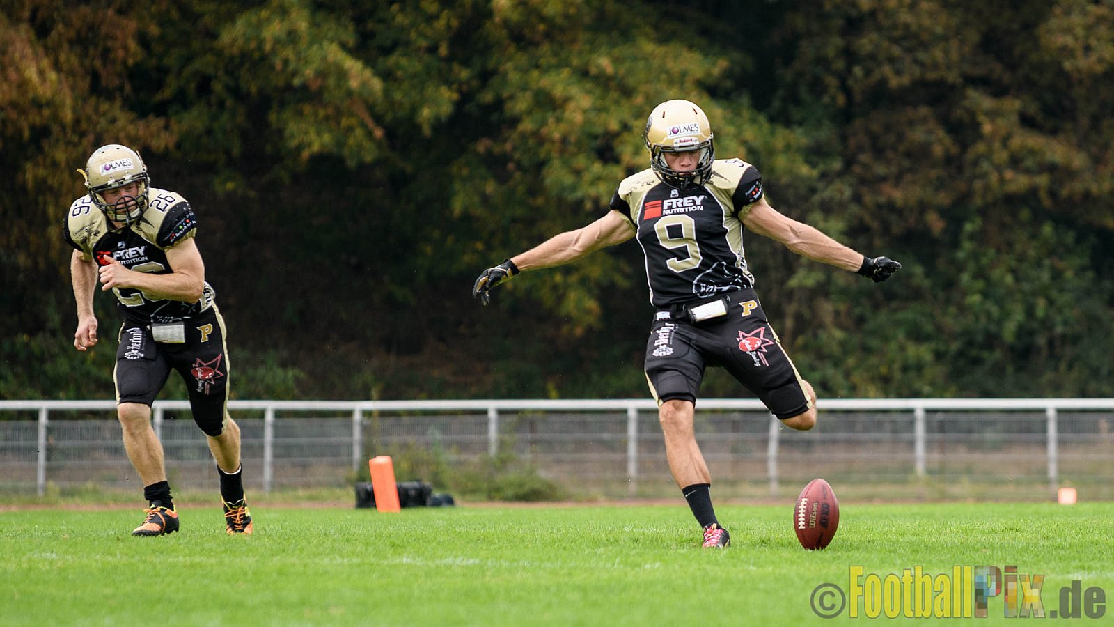 Cologne Crocodiles vs. Paderborn Dolphins - 28.08.2016 GFL2: Cologne Crocodiles vs. Paderborn Dolphins (56:16)