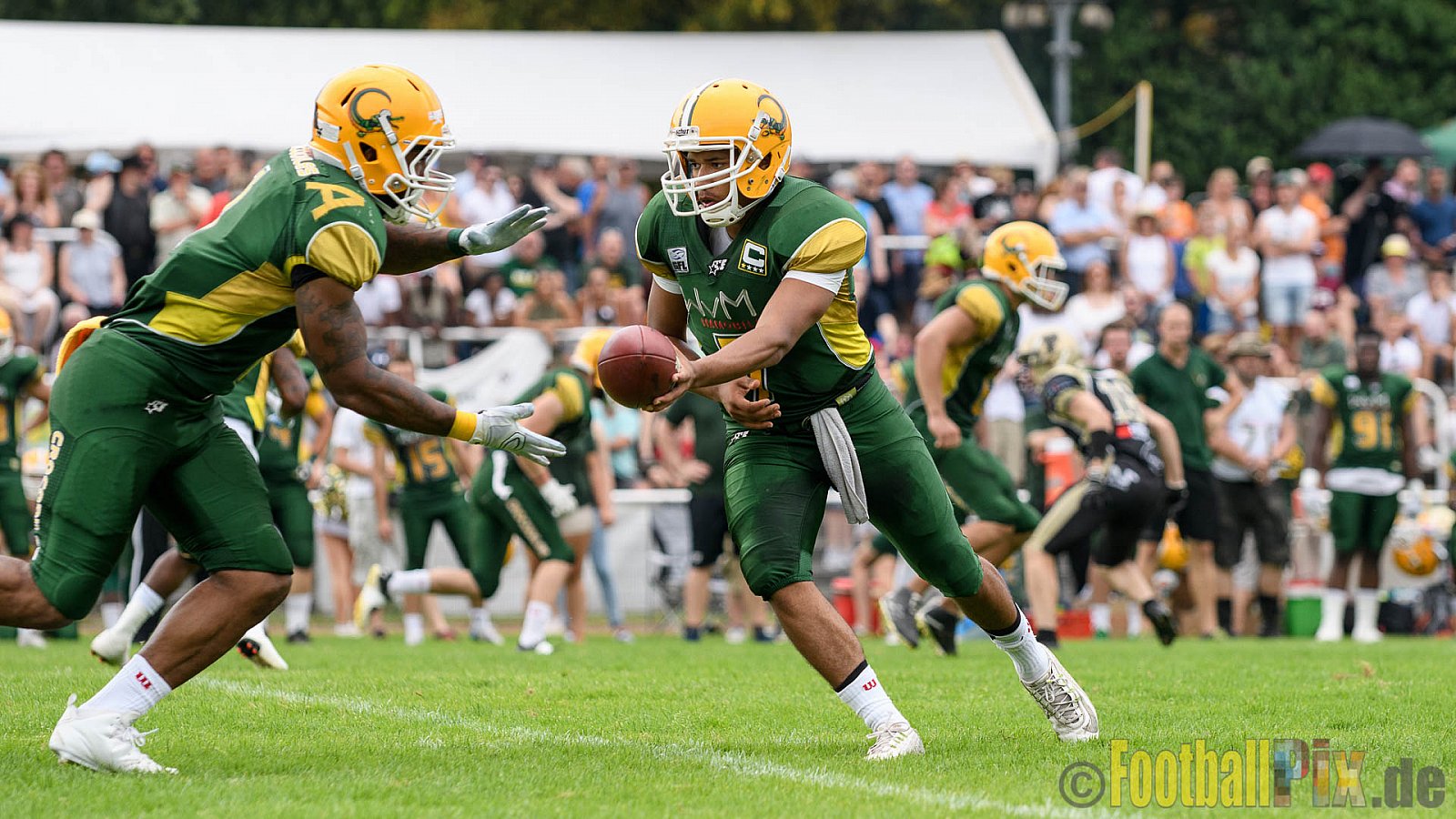Cologne Crocodiles vs. Paderborn Dolphins - 28.08.2016 GFL2: Cologne Crocodiles vs. Paderborn Dolphins (56:16)