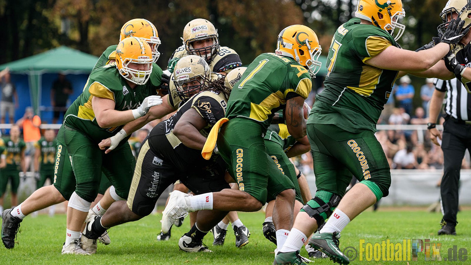 Cologne Crocodiles vs. Paderborn Dolphins - 28.08.2016 GFL2: Cologne Crocodiles vs. Paderborn Dolphins (56:16)