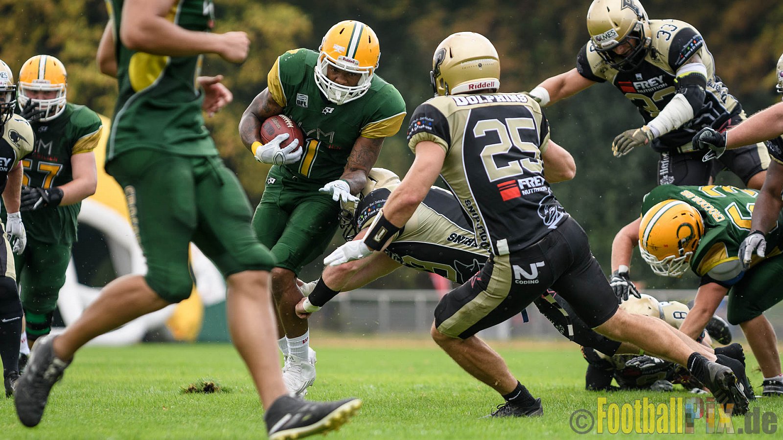 Cologne Crocodiles vs. Paderborn Dolphins - 28.08.2016 GFL2: Cologne Crocodiles vs. Paderborn Dolphins (56:16)