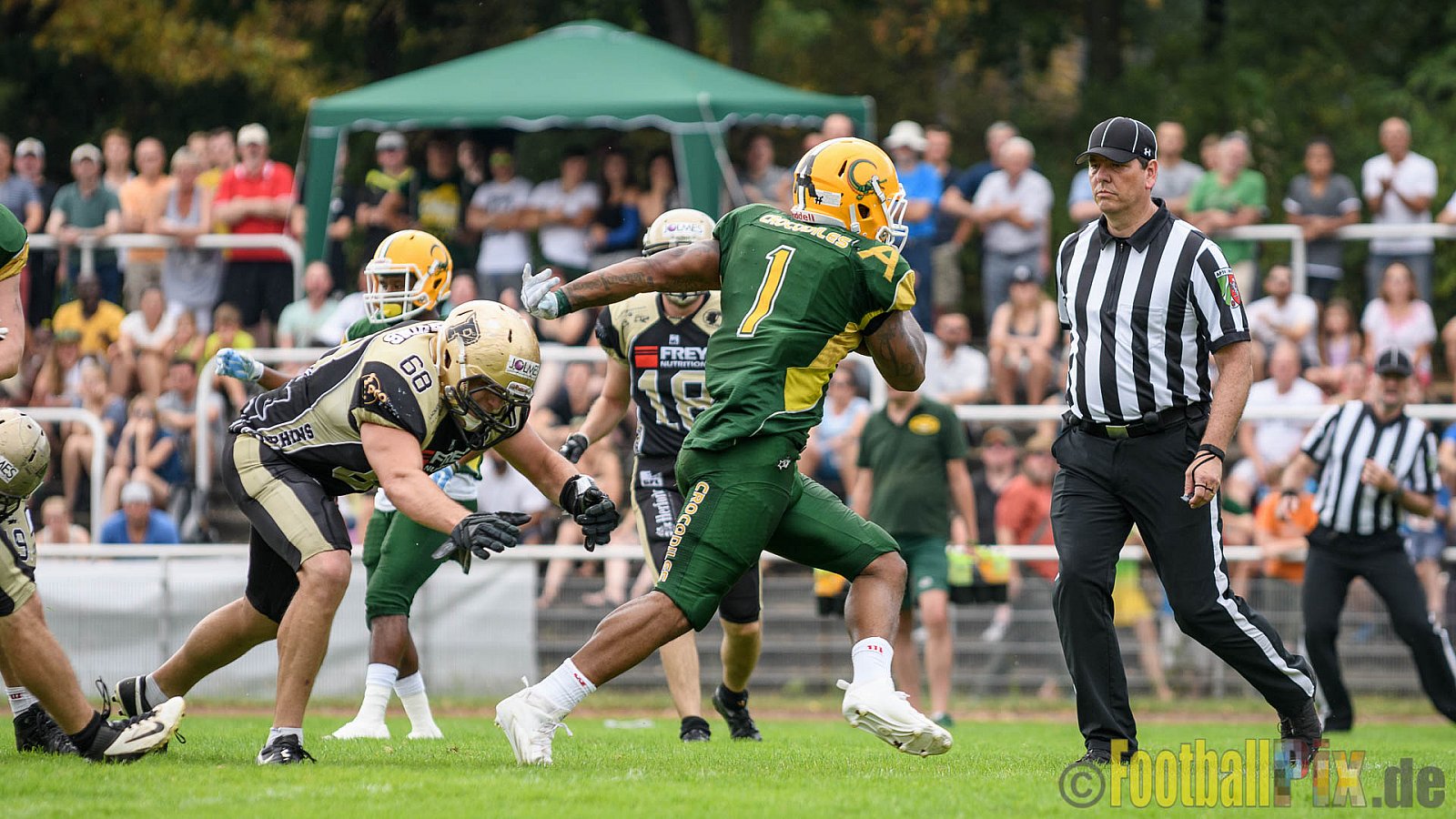 Cologne Crocodiles vs. Paderborn Dolphins - 28.08.2016 GFL2: Cologne Crocodiles vs. Paderborn Dolphins (56:16)