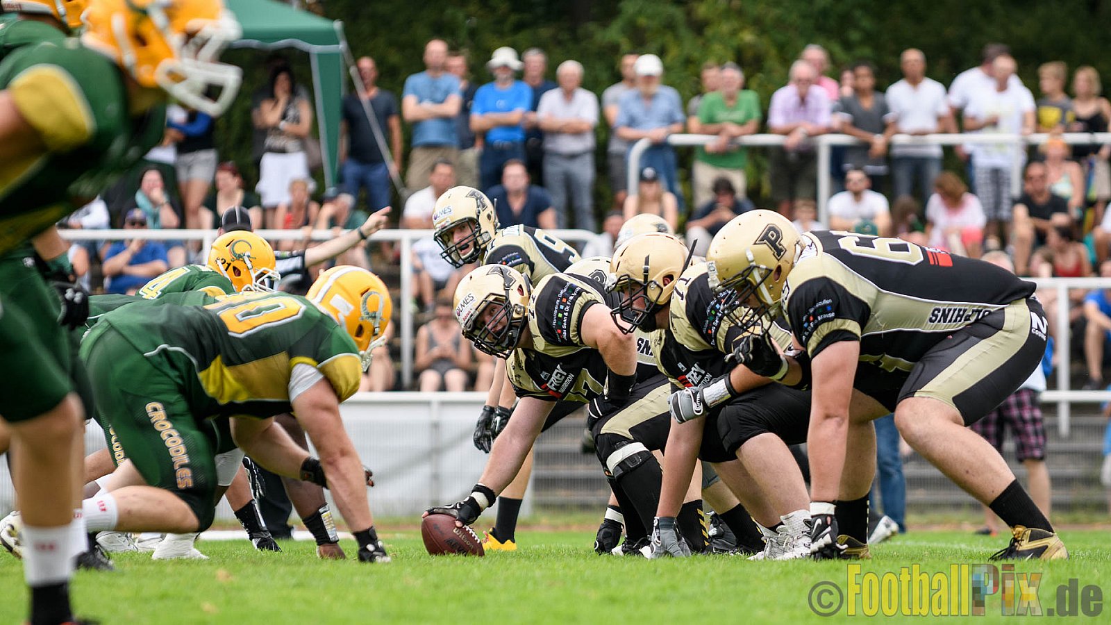 Cologne Crocodiles vs. Paderborn Dolphins - 28.08.2016 GFL2: Cologne Crocodiles vs. Paderborn Dolphins (56:16)