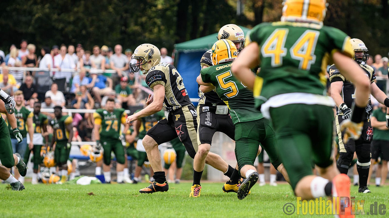 Cologne Crocodiles vs. Paderborn Dolphins - 28.08.2016 GFL2: Cologne Crocodiles vs. Paderborn Dolphins (56:16)
