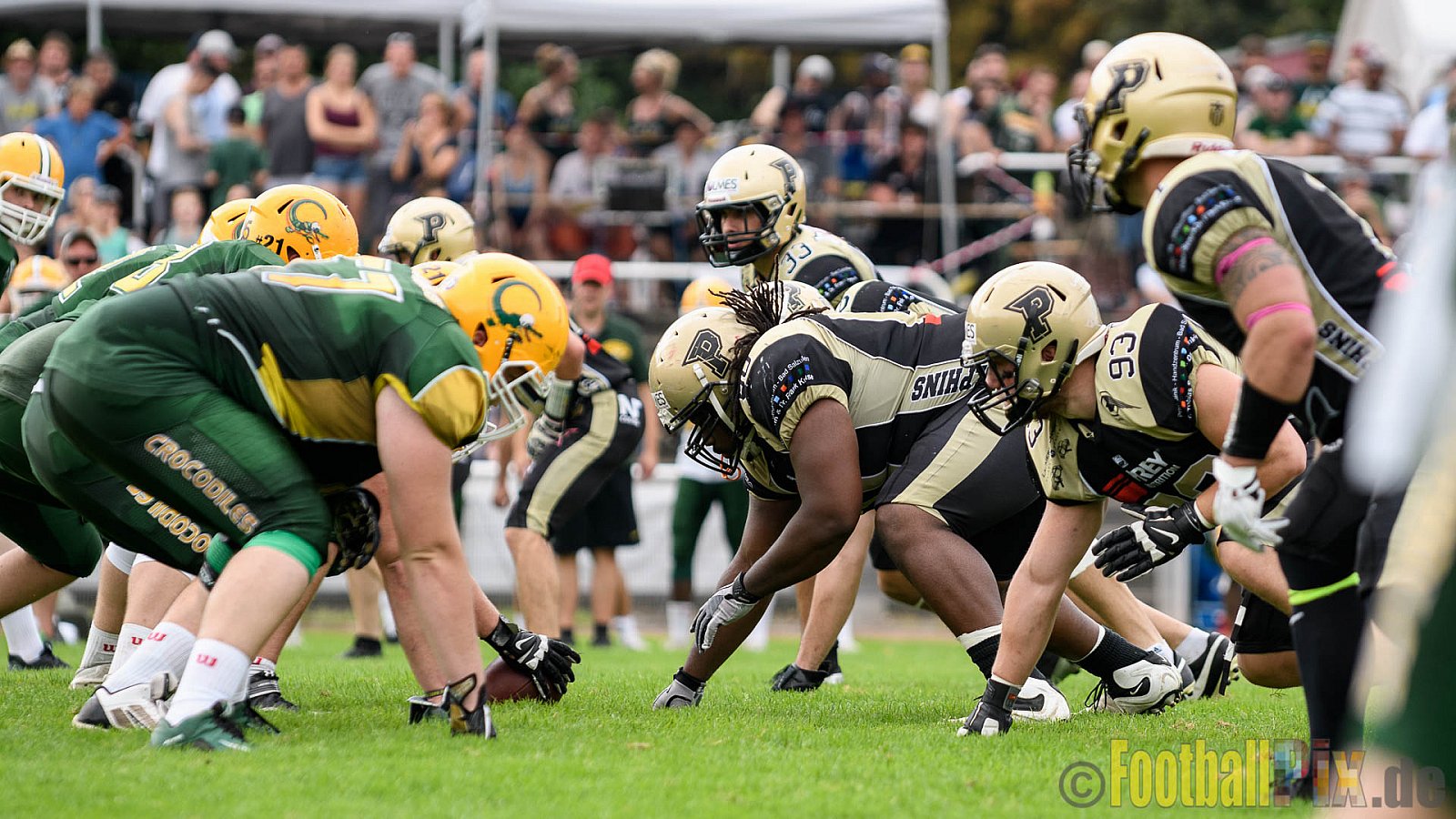 Cologne Crocodiles vs. Paderborn Dolphins - 28.08.2016 GFL2: Cologne Crocodiles vs. Paderborn Dolphins (56:16)