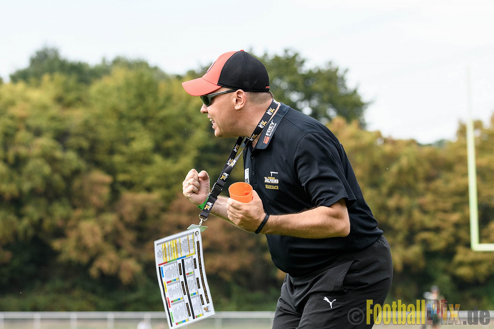 Cologne Crocodiles vs. Paderborn Dolphins - 28.08.2016 GFL2: Cologne Crocodiles vs. Paderborn Dolphins (56:16)