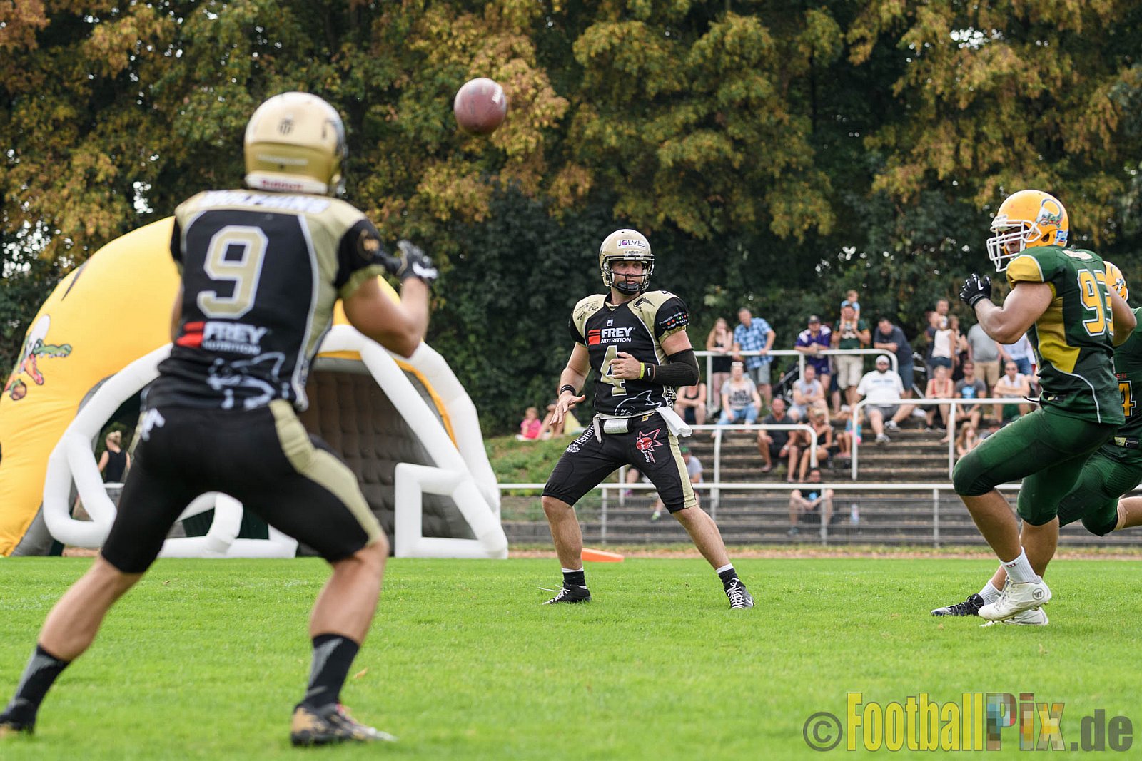 Cologne Crocodiles vs. Paderborn Dolphins - 28.08.2016 GFL2: Cologne Crocodiles vs. Paderborn Dolphins (56:16)